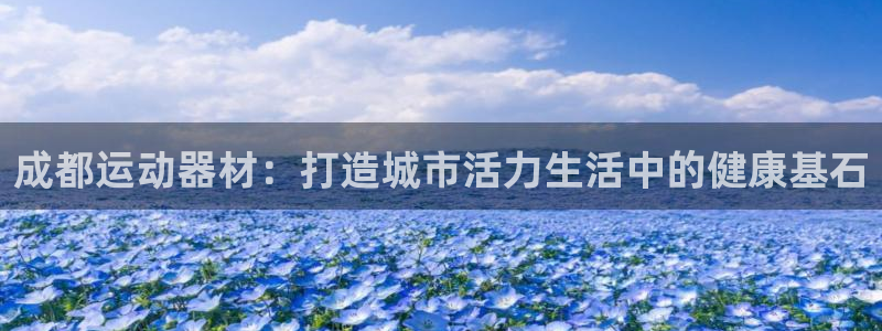 fb体育新能源：成都运动器材：打造城市活力生活中的健