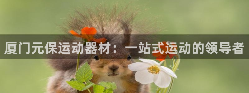fb体育招商电话号码查询是多少