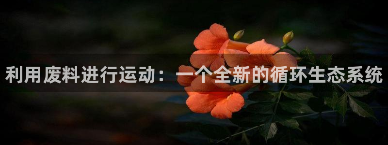 fb体育集团E.ON