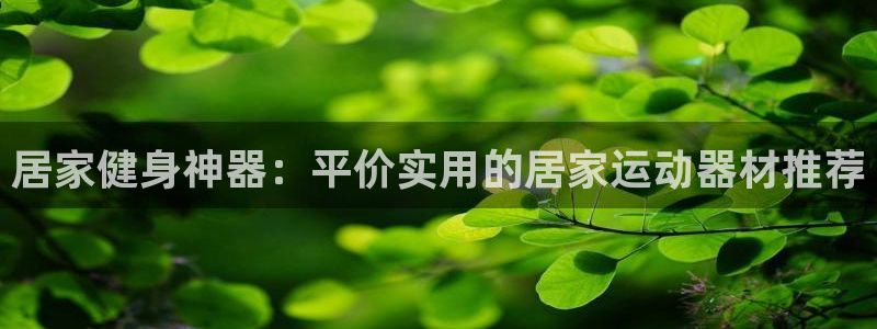 fb体育官方：居家健身神器：平价实用的居家运动器材推荐