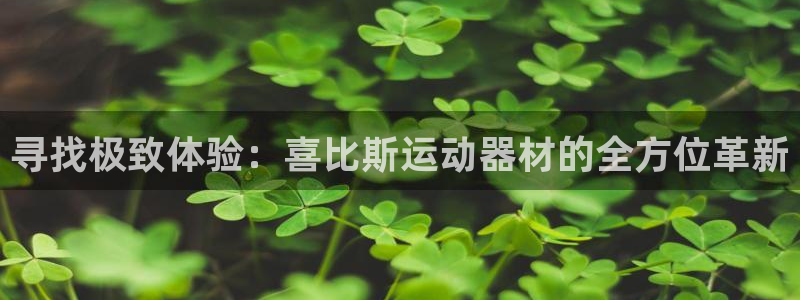 fb体育代理：寻找极致体验：喜比斯运动器材的全方位革新