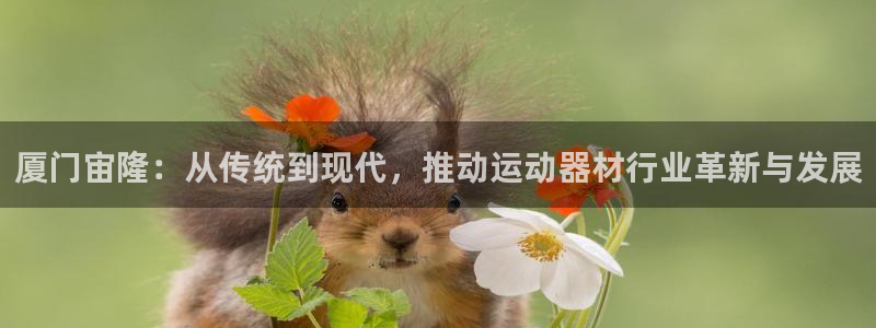 fb体育招商电话是多少：厦门宙隆：从传统到现代，推动运动器材