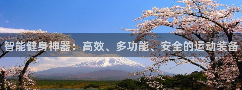 fb体育代理：智能健身神器：高效、多功能、安全的运动