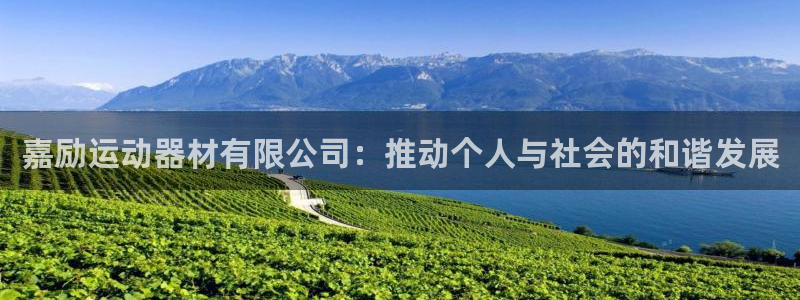 海南fb体育：嘉励运动器材有限公司：推动个人与社会的和谐发展