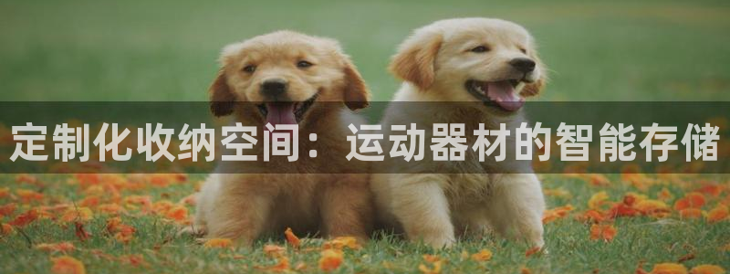 fb体育集团：定制化收纳空间：运动器材的智能存储