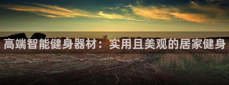 fb体育招商电话号码查询：高端智能健身器材：实用且美观的居家
