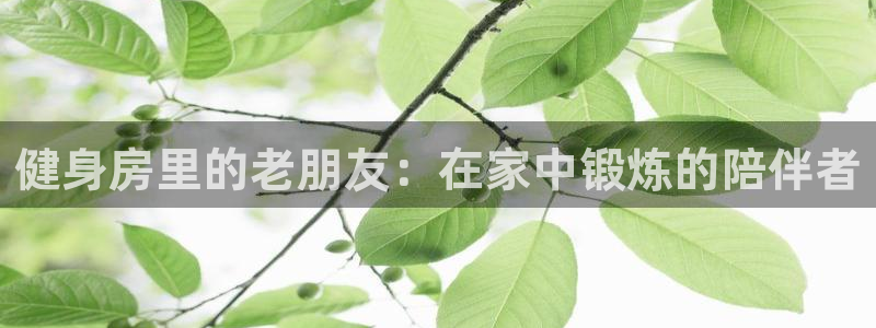 fb体育新能源：健身房里的老朋友：在家中锻炼的陪伴者