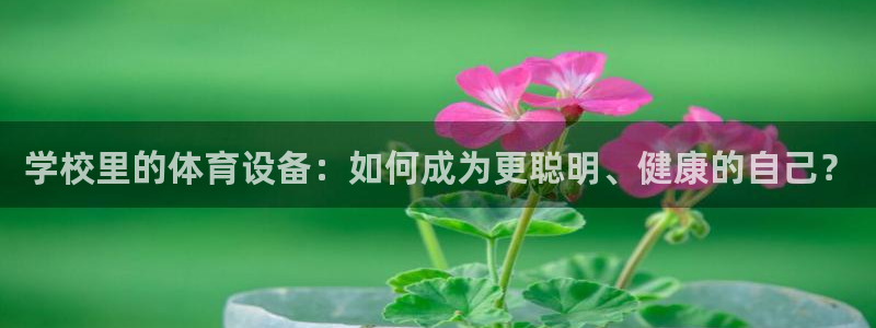 fb体育娱乐：学校里的体育设备：如何成为更聪明、健康的自己？